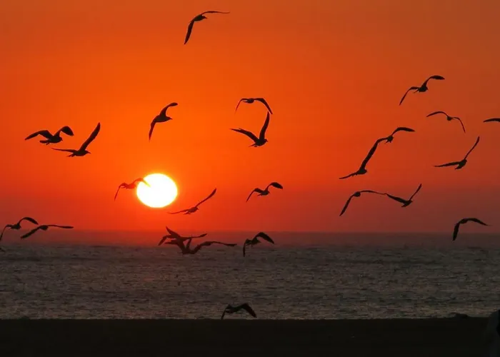 Serenabeach Apartament *